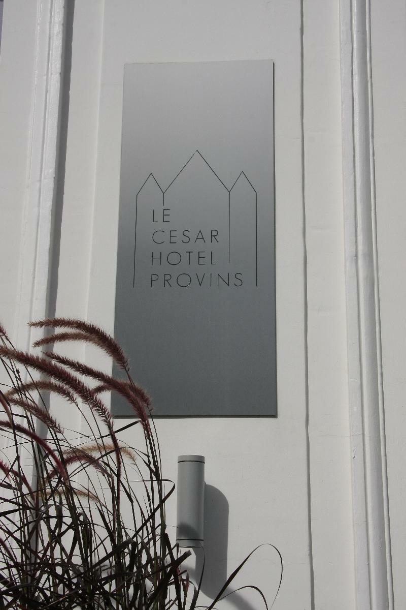 Le César Hôtel Provins Exterior foto